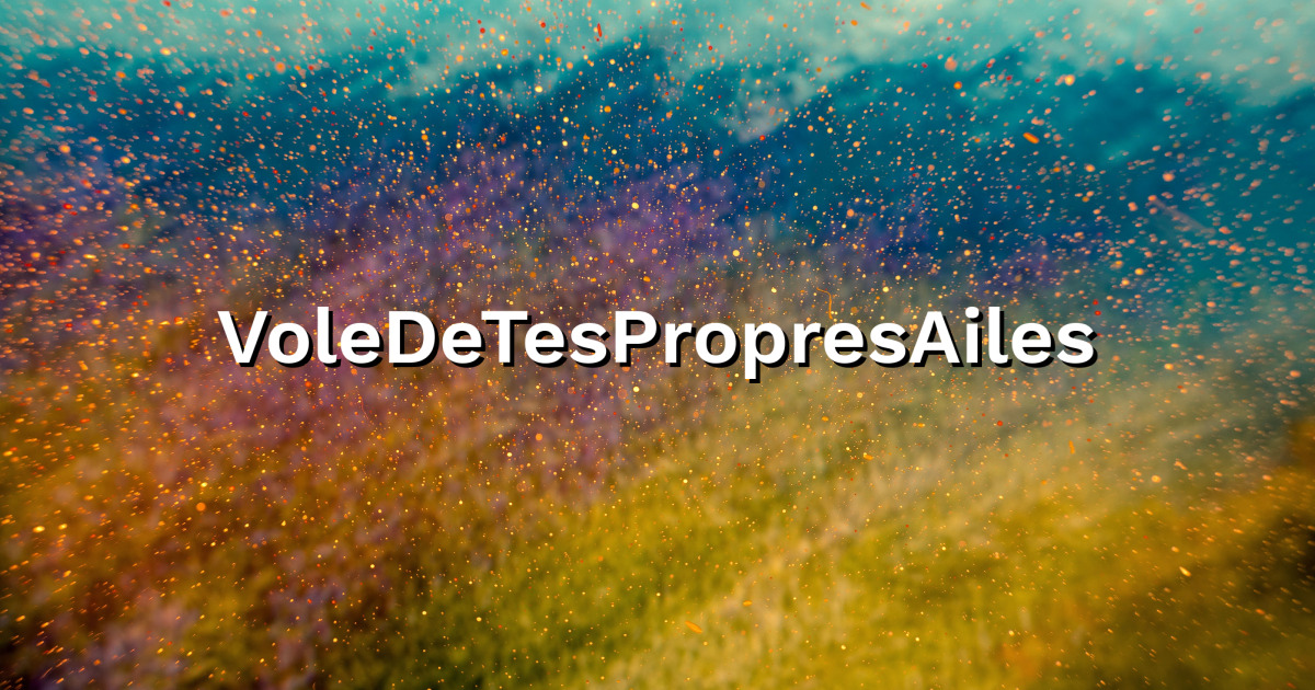 VoleDeTesPropresAiles - DAHER - Responsable industriel avions monomoteurs